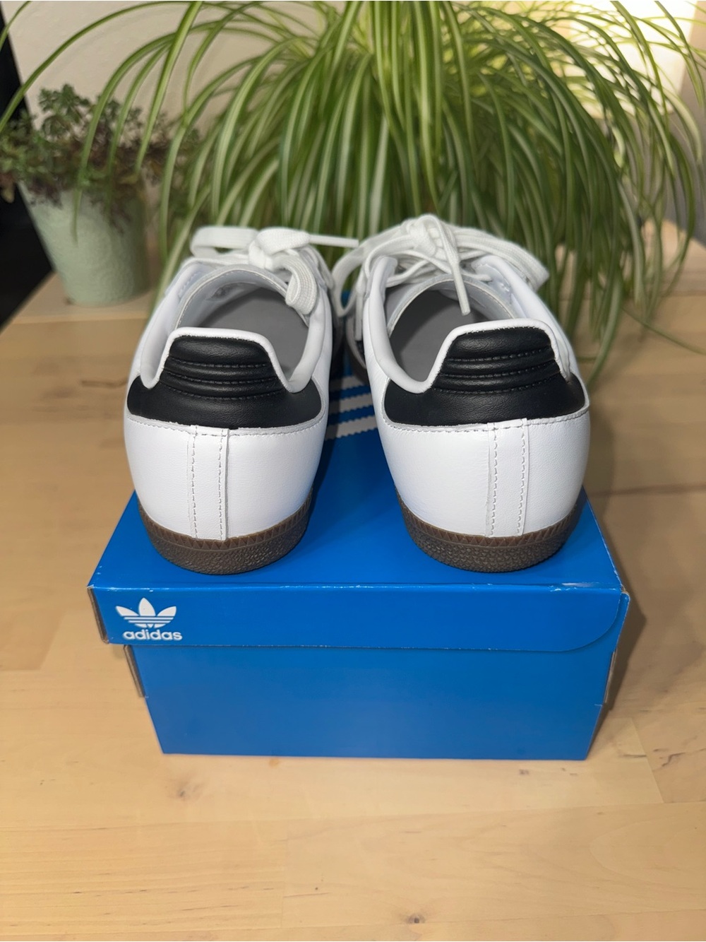 adidas Samba’s Women - Picture 5 of 8